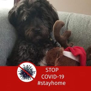 Meet your Posher, Diana